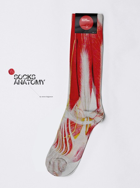 A zokni anatómiája