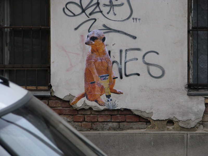 kétfarkú kutya és a magyar street art